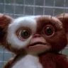 Gizmo