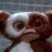 Gizmo